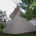 Teepee at 7 Queen Street
