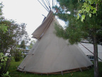 Teepee at 7 Queen Street