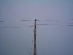 A telephone pole which is used for the cable lines for internet connection.