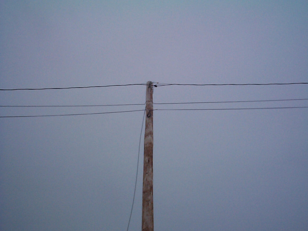 A telephone pole which is used for the cable lines for internet connection.