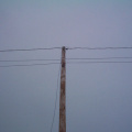 A telephone pole which is used for the cable lines for internet connection.