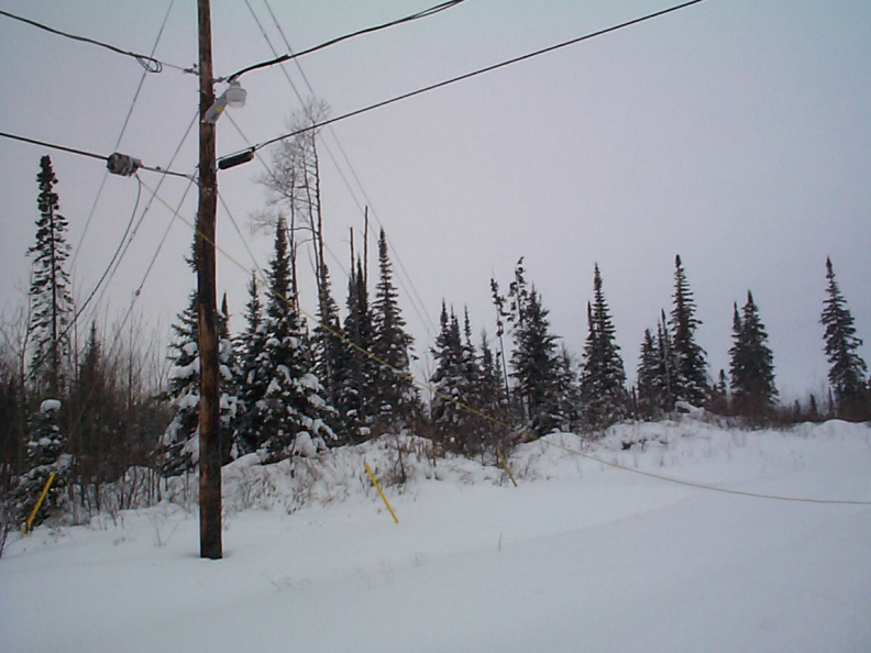 on the first line there by the pole on the left side is what makes the cable lines attatched to the telepone lines. Like a piggy