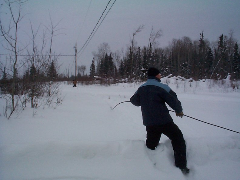 Blue Mason tugging away at the cable lines.