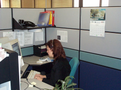 A registered nurse taking a call.