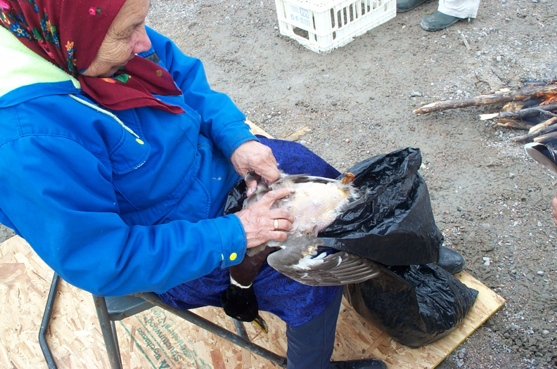 Elder Delia plucks feathers from this duck.