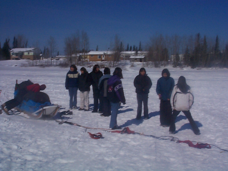 Everyone pondering on weather or not they should pull the sleigh out to Sandy for the dogs.