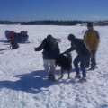 Raylene and Darlene taking one of the dogs to his harness.