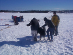 Raylene and Darlene taking one of the dogs to his harness.