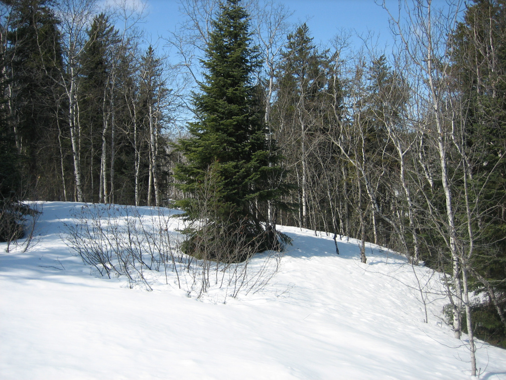 Hilltop tower site