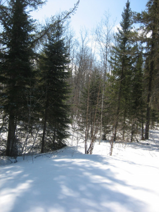 grounds around suggested site