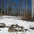 Old house site that could be secondary tower site choice  closer to road and hydro