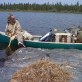 Lunch in the canoe from an exposed rock in the middle of the lake (the wind was great for keeping the bugs off us)