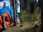 Traditional camp site for the folks from Angling Lake where the Otter flows into the Fawn River