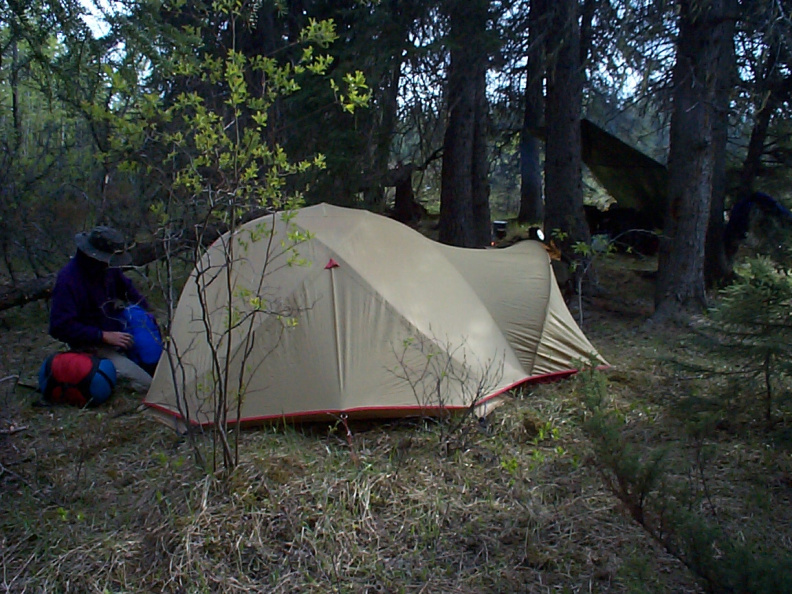 Camping in a park-like environment on the Fawn