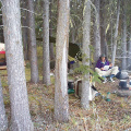 Still able to find a great camp site among the trees