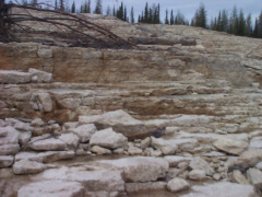The limestone shoreline