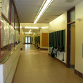 aae