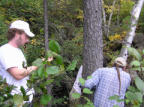 Day 4 - Sept 23, 2004 - moving along the Tawatinaw