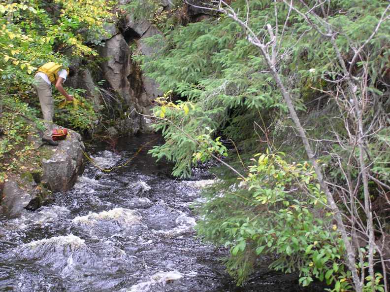 Sturgeon Tawatinaw 04 068