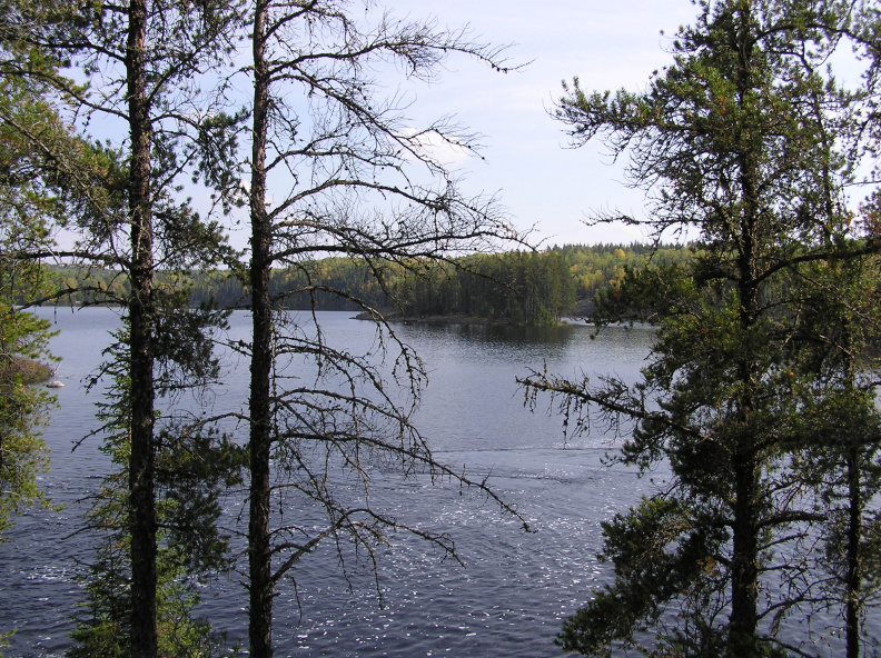 Sturgeon Tawatinaw 04 075