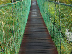 Bridge in Miri