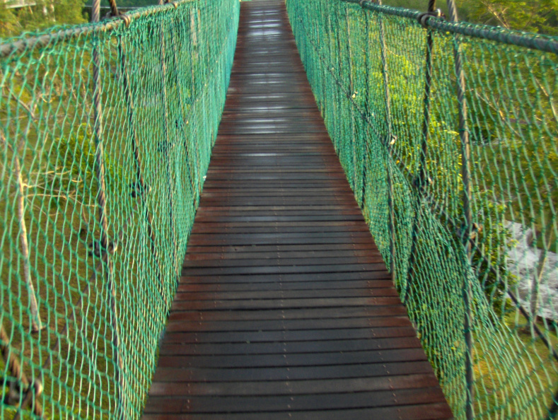 Bridge in Miri