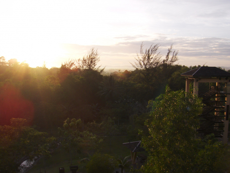 Overlooking the Park