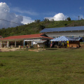 Centre of the Village