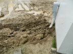 DSCN1373
