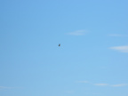 DSCN1397