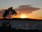 IMG_0078_001
