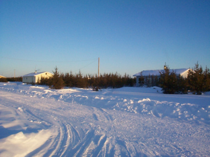 A view of the reserve.