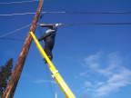 And heres Blue ready to pass out from the dizzying heights. Jusk kidding Blue. he is putting the finishing touches to the cable