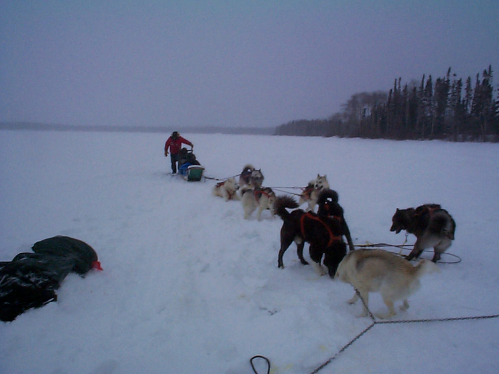 And here is our elder Donald Kakegamic coming in from the dog sled ride.