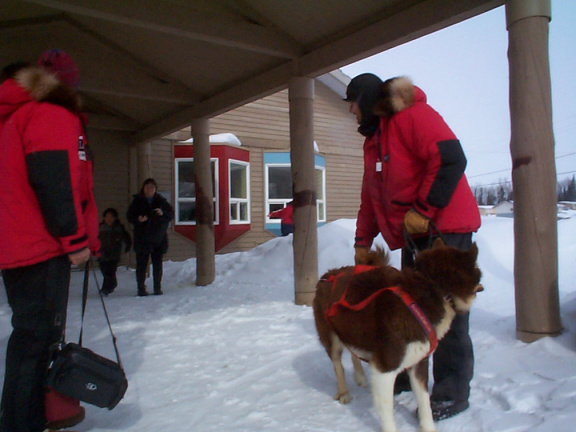 And here he is showing one of the students how the harness is hooked up to the dogs.
