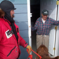 They used to use dog teams all the time for getting water, wood, supplies, for hunting.