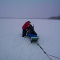 He is getting helped to get off the sled. I don't think he wants to get out.
