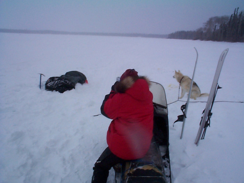 Here's one the guys taking pictures of Donald flying by with the team of dogs.