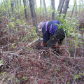 Here's our "hero"...tying up the bear's lil' paws.