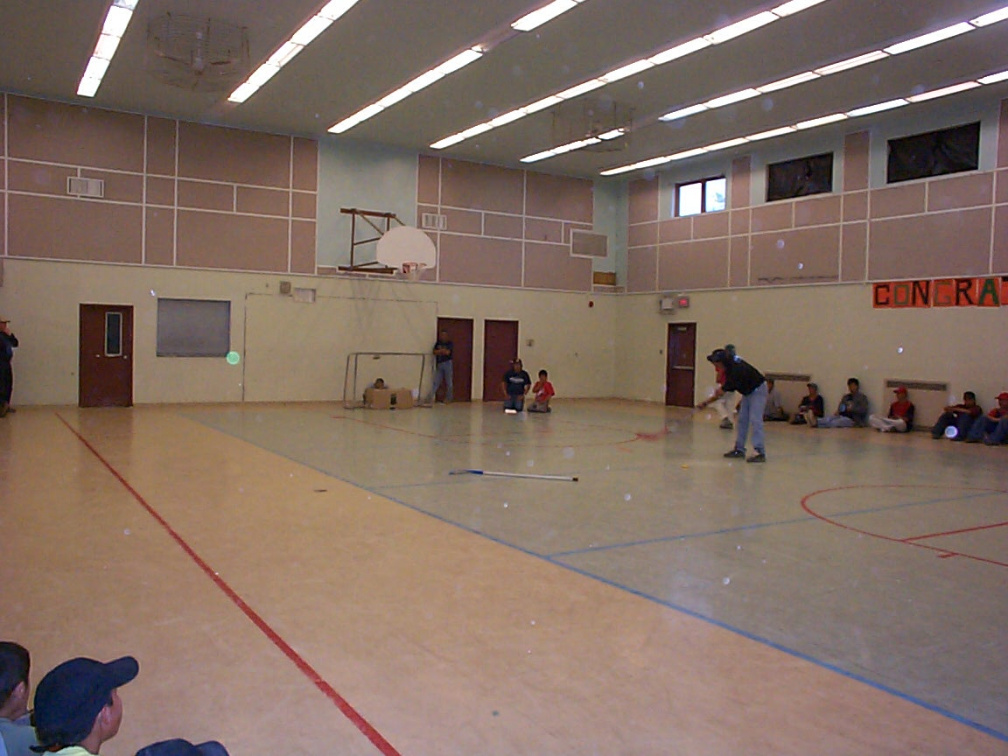 Target shooting,floor hockey.