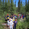 We set off,lots of plants to choose from. It was very hot that day.