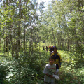 Here they come,two local elders were present to discribe the plants and how they were used.