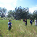 This is where the garden was, the mennonites planted their vegetables here.