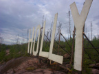 We used one sheet of plywood to make the letters and two sheets to make the W