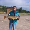 David Meekis caught this 11lbs walleye