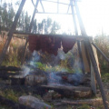 see the meat hanging on the rack, being smoked