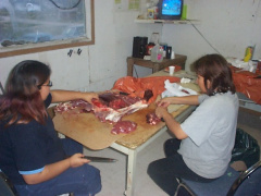 Gloria (right) and Grace (left) are cutting up moose meat