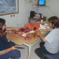 Gloria (right) and Grace (left) are cutting up moose meat