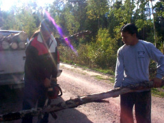 Now Andy and Darryl are going to saw the log in half
