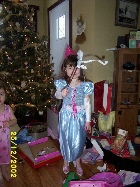 I am a princess fairy!  What is your wish?